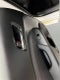 2022 Toyota Prius Nightshade